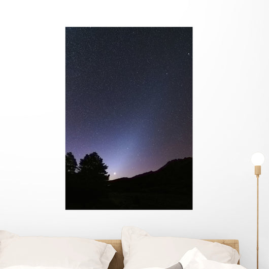 Venus Setting and Bright Wall Decal