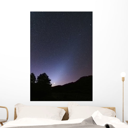 Venus Setting and Bright Wall Decal
