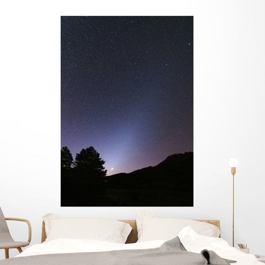 Venus Setting and Bright Wall Decal