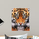 Tiger Face Wall Mural