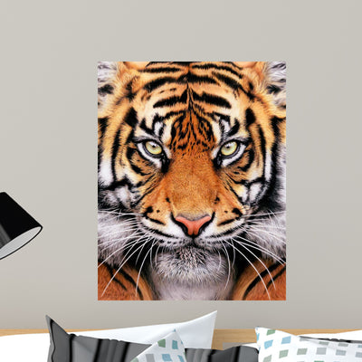 Tiger Face Wall Mural shown on a wall