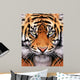 Tiger Face Wall Mural
