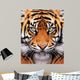 Tiger Face Wall Mural