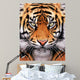 Tiger Face Wall Mural