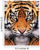 Tiger Face Wall Mural