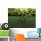 Baryonyx Escapes Swimming from Wall Decal