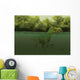 Baryonyx Escapes Swimming from Wall Decal