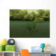 Baryonyx Escapes Swimming from Wall Decal
