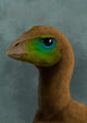 Hypsilophodon Dinosaur Portrait Wall Decal