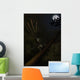 Epidexipteryx Reacts Aggressively Prehistoric Wall Decal