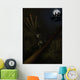 Epidexipteryx Reacts Aggressively Prehistoric Wall Decal