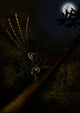 Epidexipteryx Reacts Aggressively Prehistoric Wall Decal