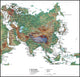 Map of Asia Wall Mural