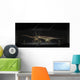 Exhibition Space Featuring Diplodocus Wall Decal Design 2