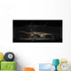 Exhibition Space Featuring Diplodocus Wall Decal Design 2