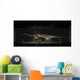 Exhibition Space Featuring Diplodocus Wall Decal Design 2