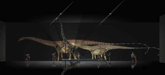 Exhibition Space Featuring Diplodocus Wall Decal Design 2