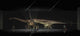 Exhibition Space Featuring Diplodocus Wall Decal Design 2