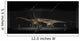 Exhibition Space Featuring Diplodocus Wall Decal Design 2