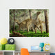 Pair Iguanodon Bernissartensis Grazing Wall Decal
