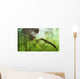 Curious Koumpiodontosuchus Eyes Neovenator Wall Decal