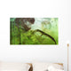 Curious Koumpiodontosuchus Eyes Neovenator Wall Decal