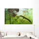 Curious Koumpiodontosuchus Eyes Neovenator Wall Decal