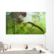 Curious Koumpiodontosuchus Eyes Neovenator Wall Decal