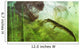 Curious Koumpiodontosuchus Eyes Neovenator Wall Decal