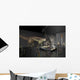 Exhibition Space Featuring Diplodocus Wall Decal Design 1