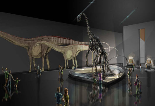 Exhibition Space Featuring Diplodocus Wall Decal Design 1