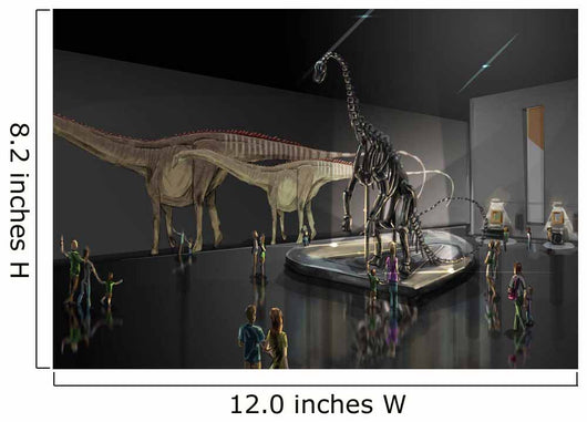 Exhibition Space Featuring Diplodocus Wall Decal Design 1