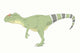 Allosaurus Pencil Drawing with Wall Decal