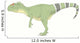 Allosaurus Pencil Drawing with Wall Decal