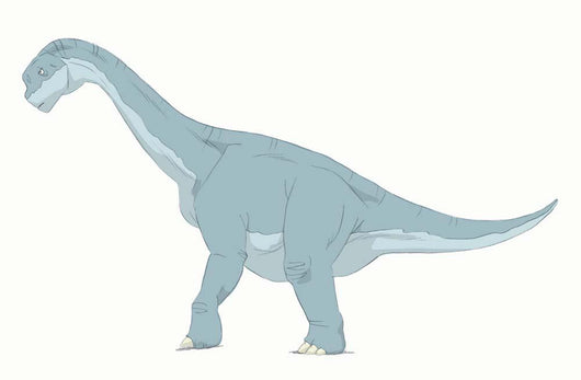 Camarasaurus Pencil Drawing with Wall Decal