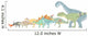 Pencil Drawing Illustrating Various Wall Decal