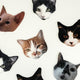 Cat Face Stickers
