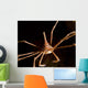 Arrow Crab West Palm Wall Decal