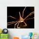 Arrow Crab West Palm Wall Decal