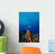 Barracuda Swims amongst Coral Wall Decal