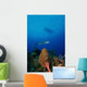 Barracuda Swims amongst Coral Wall Decal