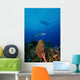 Barracuda Swims amongst Coral Wall Decal