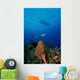 Barracuda Swims amongst Coral Wall Decal