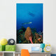 Barracuda Swims amongst Coral Wall Decal