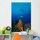 Barracuda Swims amongst Coral Wall Decal