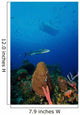 Barracuda Swims amongst Coral Wall Decal