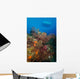 Black Coral Reef Turks Wall Decal