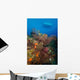 Black Coral Reef Turks Wall Decal