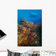 Black Coral Reef Turks Wall Decal