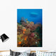 Black Coral Reef Turks Wall Decal